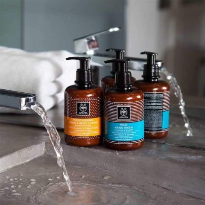 Εικόνα της APIVITA HAND WASH GRAPEFRUIT & PROPOLIS. Απαλό Καθαριστικό για τα Χέρια με Γκρέιπφρουτ & Πρόπολη, 300ml