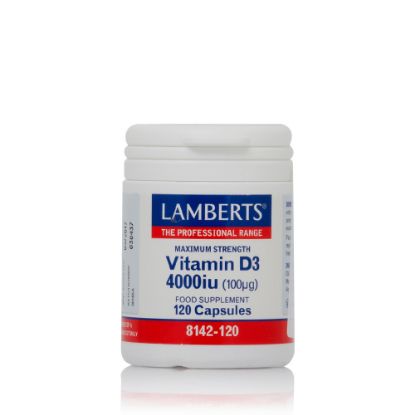 Εικόνα της LAMBERTS VITAMIN D3 4000IU 120CAPS