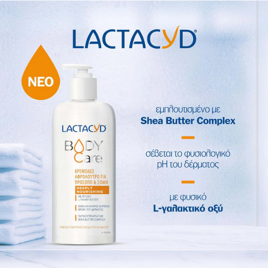 Εικόνα της LACTACYD BODY CARE ΚΡΕΜΩΔΕΣ ΑΦΡΟΛ. FACE & BODY 300ML