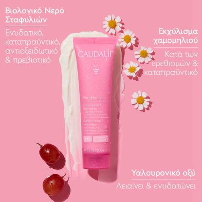 Εικόνα της CAUDALIE VINOHYDRA SORBET CREAM MOISTURIZER ΔΡΟΣΕΡΗ ΚΡΕΜΑ ΤΖΕΛ ΠΡΟΣΩΠΟΥ ΜΕ ΥΑΛΟΥΡΟΝΙΚΟ ΟΞΥ, 60ML (ΝΕΑ)